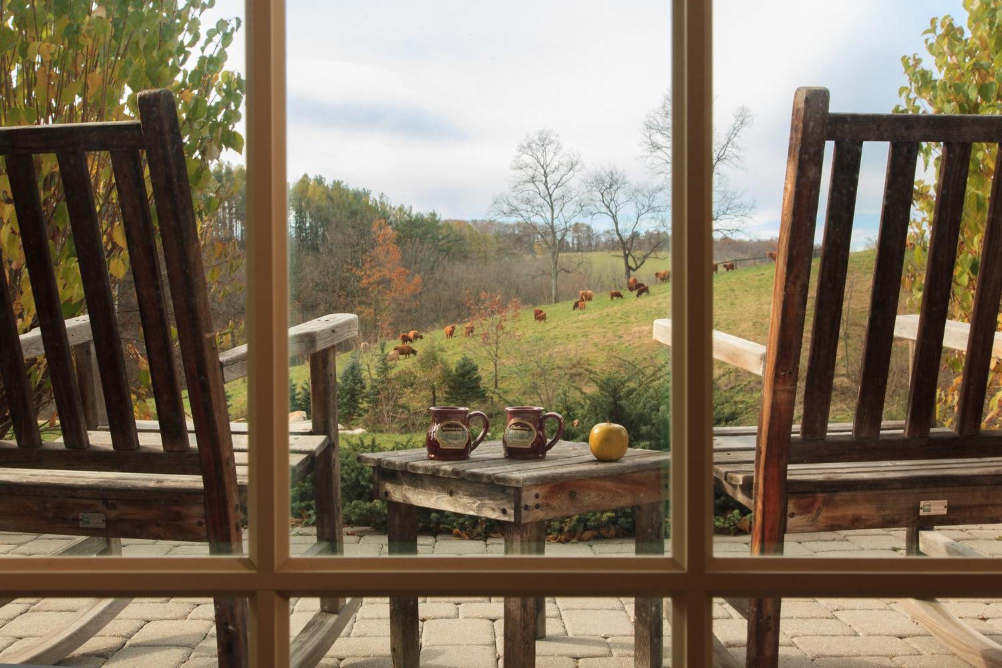 Glasbern Fogelsville Bagian luar foto
