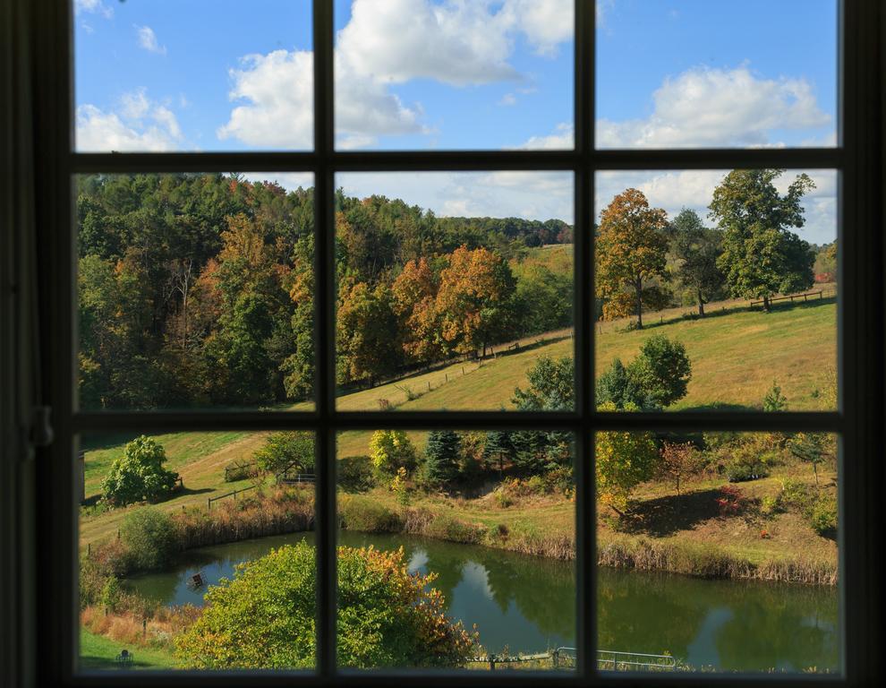 Glasbern Fogelsville Bagian luar foto